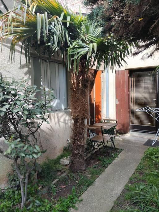 Apartamento Les Salenques Toulouse Exterior foto